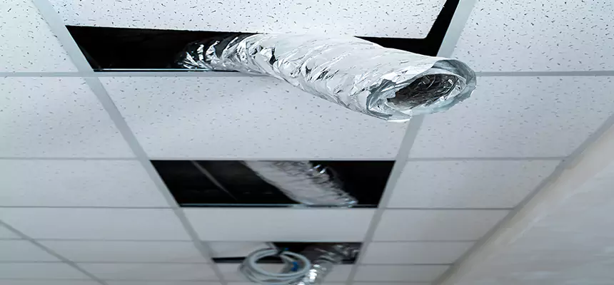 Our Air Duct Pet Hair Removal Services in Enid, OK