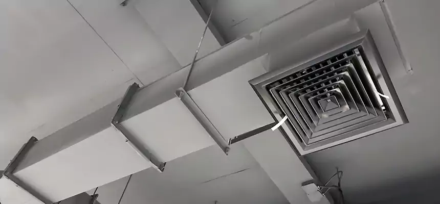 Our Rodent Droppings In Vents Services in Enid, OK