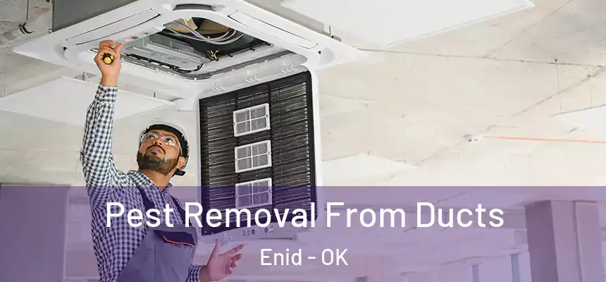 Pest Removal From Ducts Enid - OK