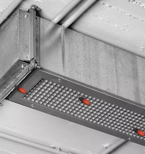 Affordable Insect Removal from Air Ducts in Enid, OK