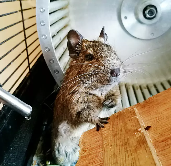 Why Homeowners & Businesses Trust Us Enid, OK?